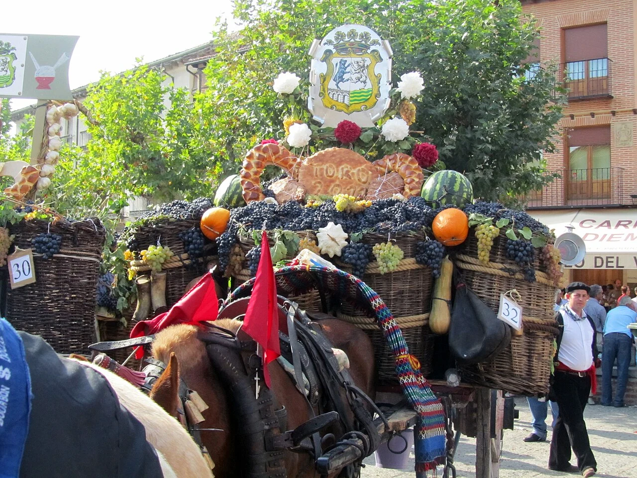 Grape Harvest Festival, baskets and carts, a horse, a man, lots of grapes in the carts