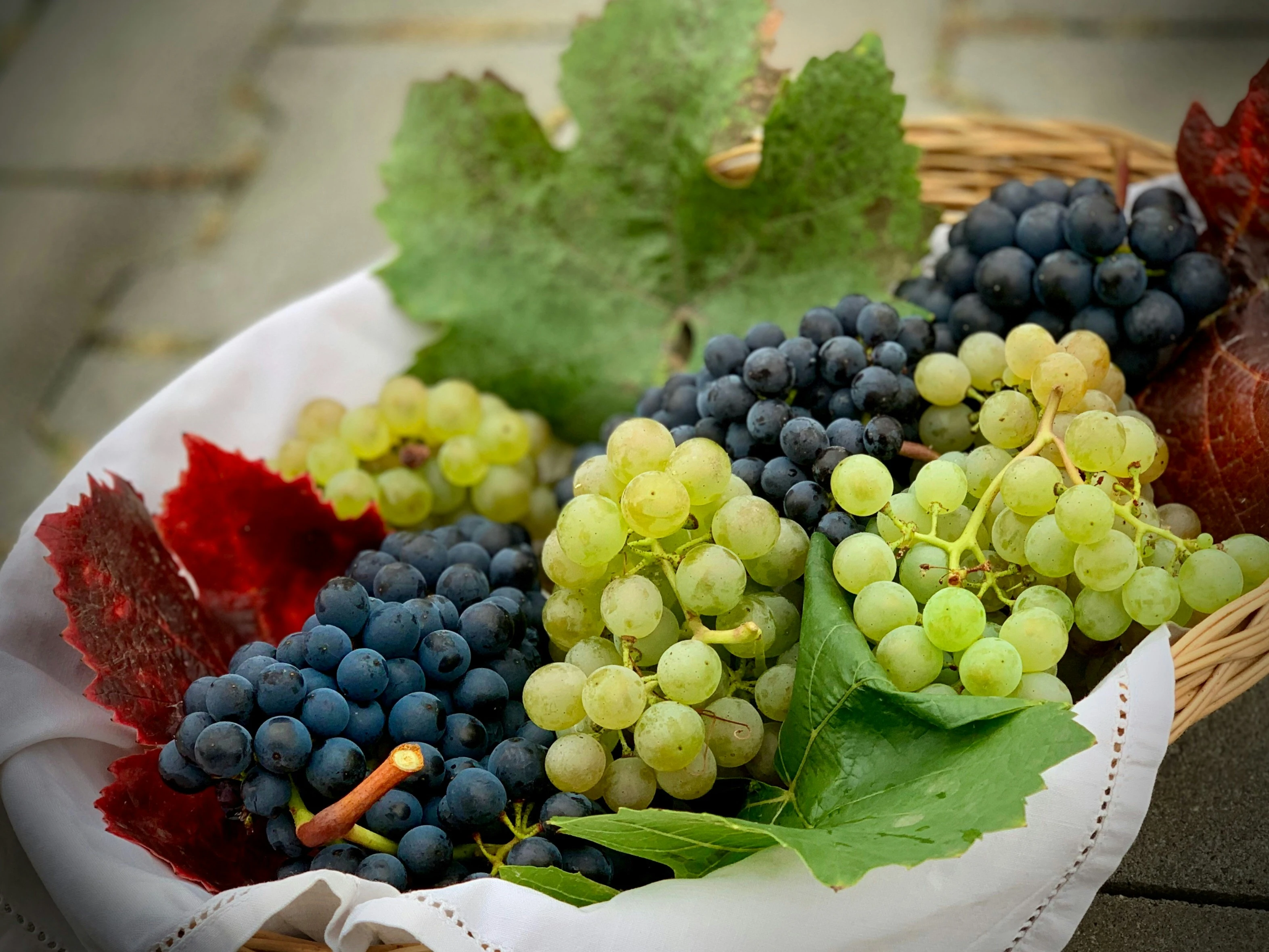 Vinobraní ve Španělsku: tradice a slavnosti vína